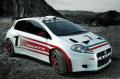 Fiat Punto rallye