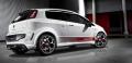 Fiat Punto Abarth EVO