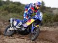 Cyril Despres Dakar 2010