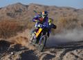 Cyril Despres 1er Dakar 2010